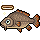 Holy Carp Fishing Badge