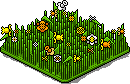Petal Patch
