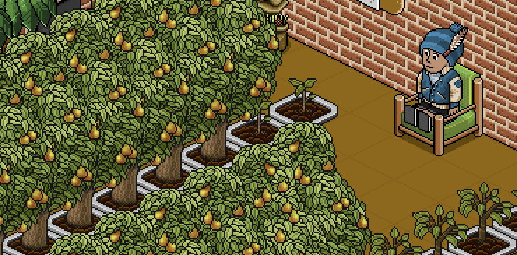 HabboGardening